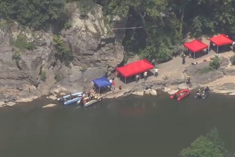 Rescatistas buscan a nadador desaparecido cerca de Great Falls