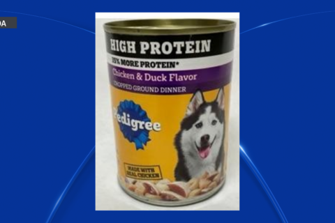 Retiran comida enlatada para perros Pedigree por preocupaciones de contaminación
