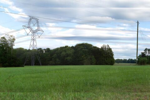 Why Northern Virginians will help pay for controversial rural transmission line project