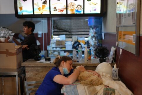 “Hospital McDonald’s”, el refugio para mascotas rescatadas de los terremotos