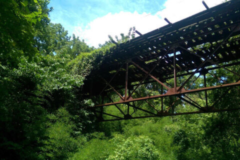 DC’s last streetcar bridge will be demolished — it carried trams from Georgetown to Glen Echo