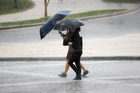 Gusty thunderstorms could kick off Thursday afternoon in DC region