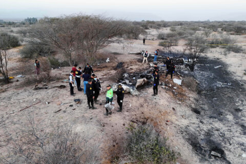 Plane carrying European tourists crashes in Peru, killing 13 people on Nazca Lines viewing flight