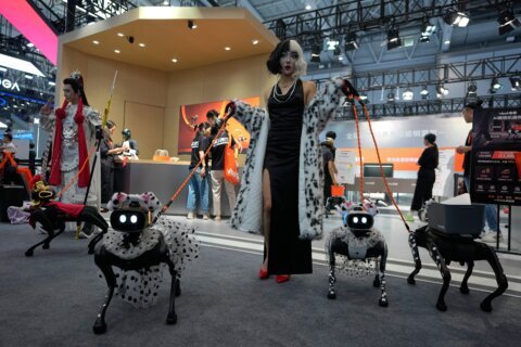 From robot dogs to helpers, China puts robotics ambitions on display at world conference