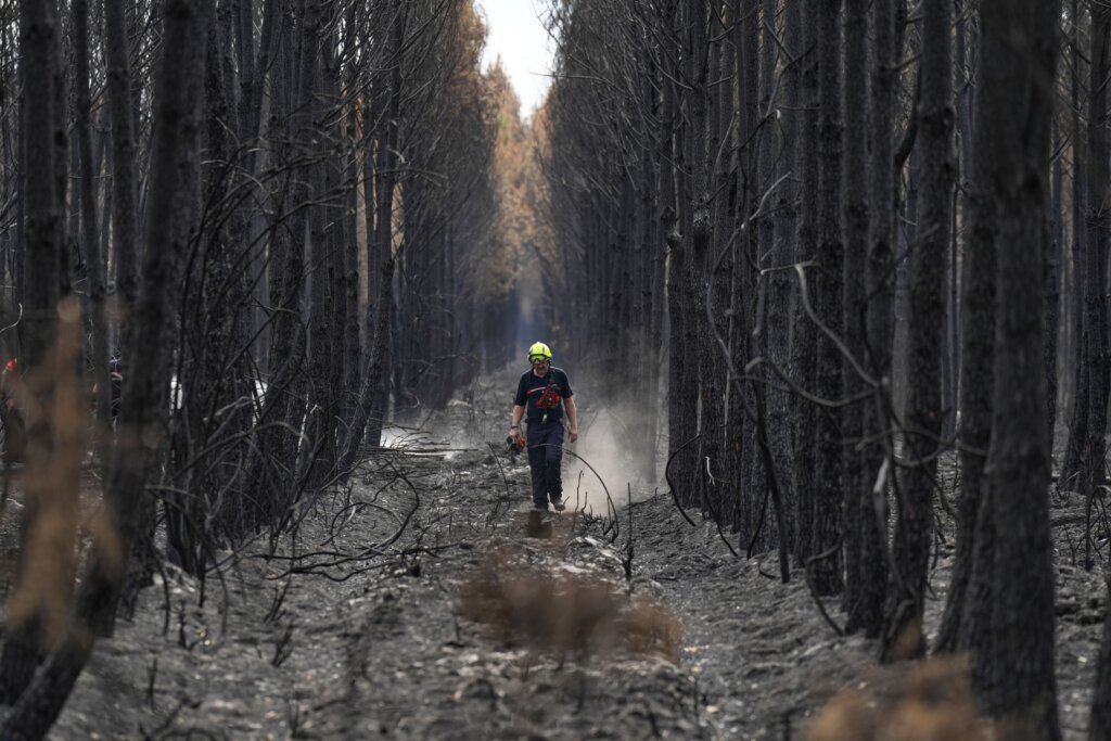 French wildfire near Bordeaux contained as 1,500 firefighters battle separate blaze in Provence