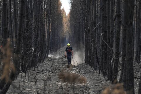 Europe’s wildfire crisis fractures as Greece evacuates and France guards megafire scar