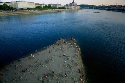 Western Europe sets new temperature record as heat waves pummel the region