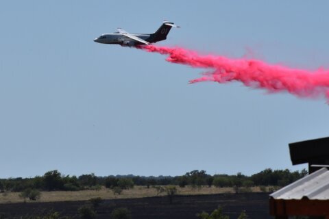 2 people died in a military helicopter crash near Fort Hood, officials say
