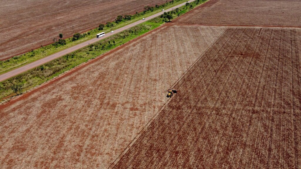 Brazil Supreme Court upholds laws that led to downfall of Amazon soy moratorium