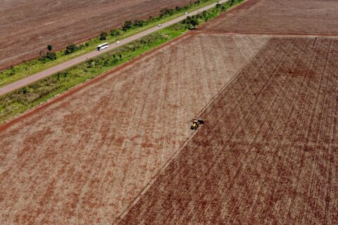 Brazil Supreme Court upholds laws that led to downfall of Amazon soy moratorium