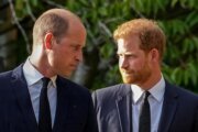 A question looms over Harry's return to the UK. Can he rebuild his relationship with Prince William?