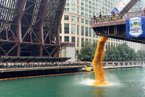 Rubber ducks by the thousands splash into Chicago River for annual Special Olympics fundraiser