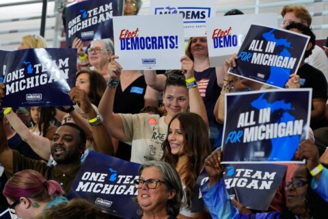 Democratic primary turnout has soared in some states. Can it carry over to November?