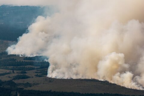 Firefighters battle a massive Belgian wildfire, forcing hundreds to evacuate