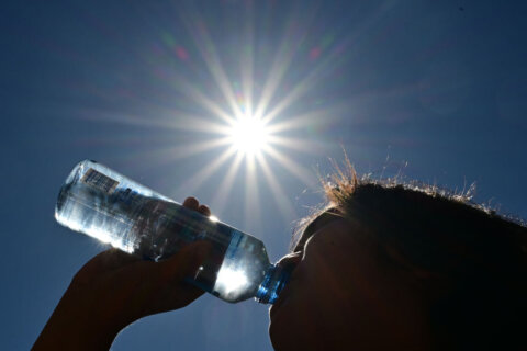 Maryland records 31 heat deaths in the month, pushing total to second-highest in 15 years
