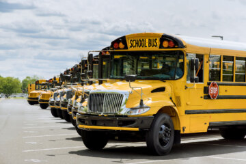 yellow school buses
