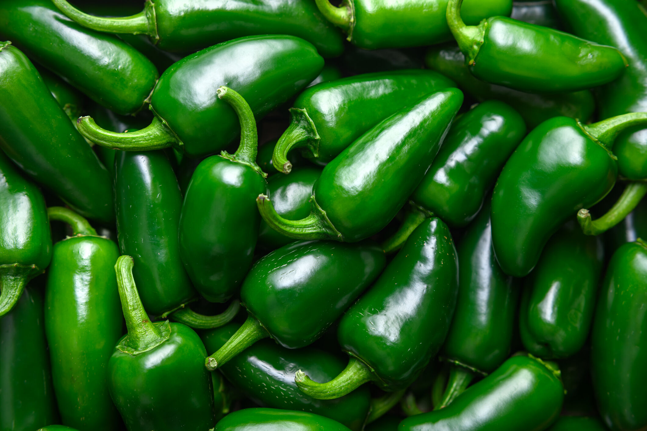 Heap of green mexican jalapeno hot peppers close up