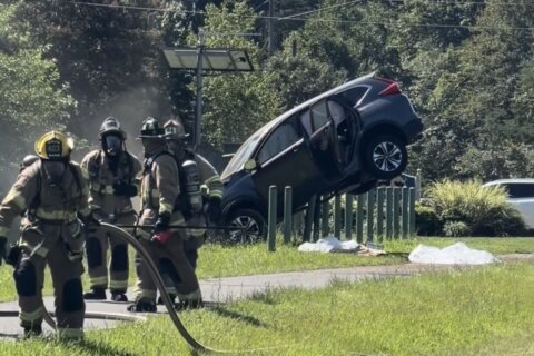 Vehicle strikes gas line causing leak in Fairfax County