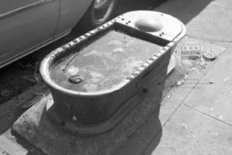 This is a photo of a horse trough in the District.