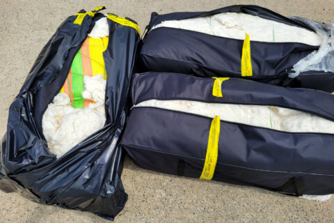 Unprocessed cotton and seeds seized at Dulles Airport
