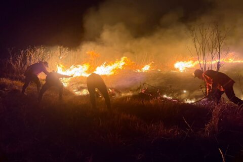 Indonesia battles growing wildfires as Mount Bromo blaze spreads