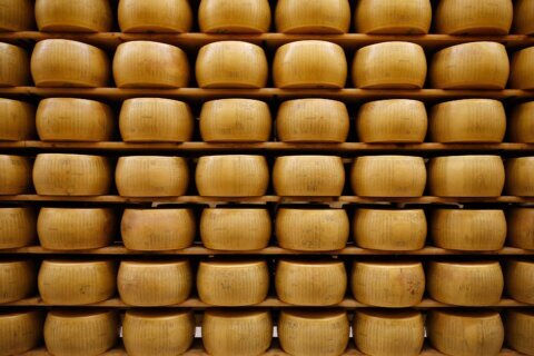 FACT FOCUS: Social media falsely claims heatwave threatens Parmigiano Reggiano cheese and bank