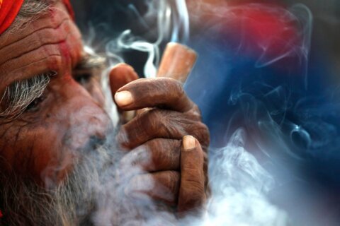 Nepal’s Gandaki province legalizes medical cannabis farming and use