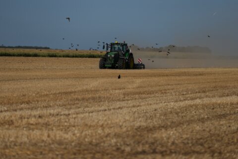 A punishing European drought shrivels crops from Dutch potatoes to Bosnian corn