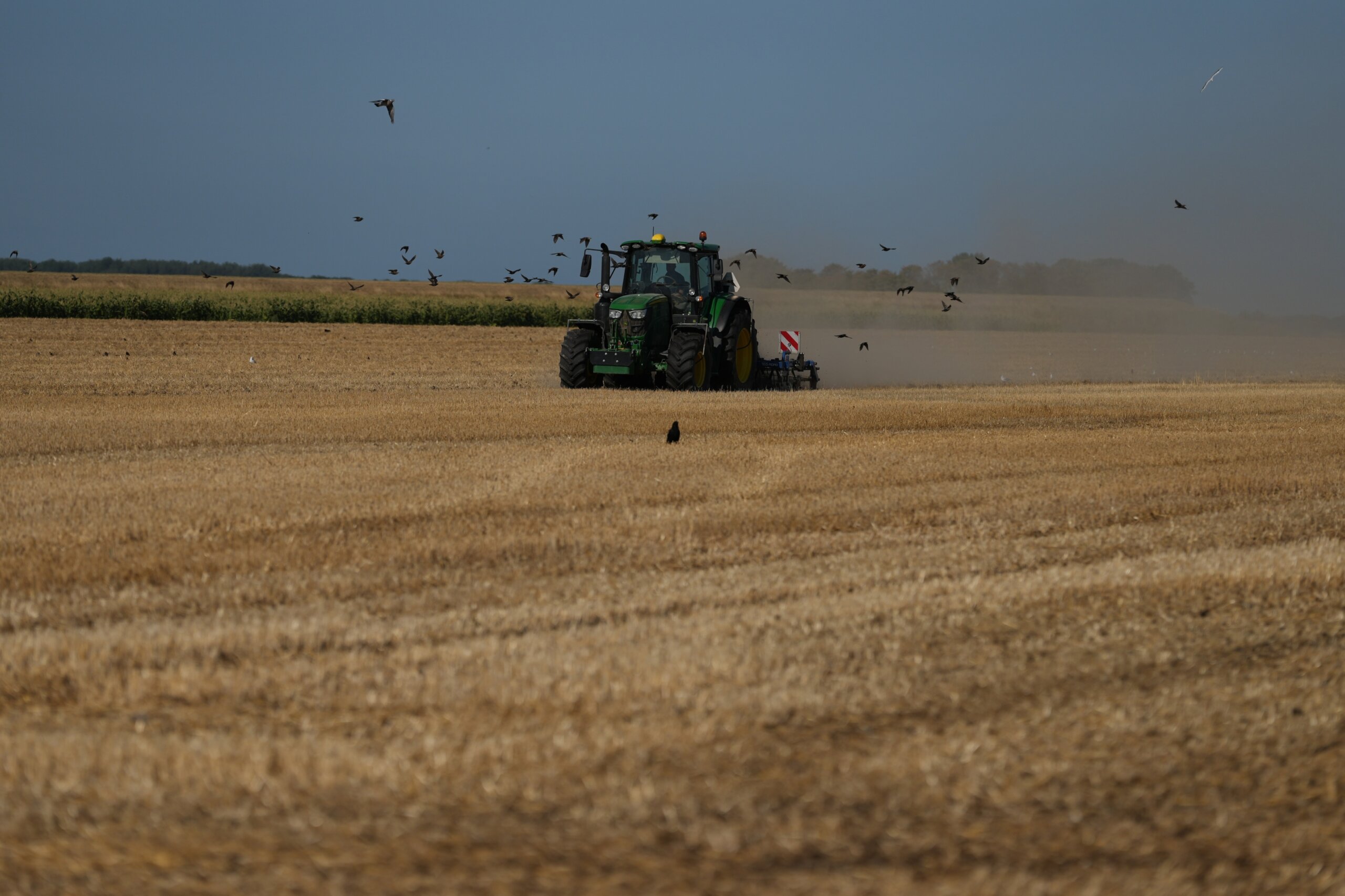 European drought cuts potato, corn and hop harvests across the continent in 2026