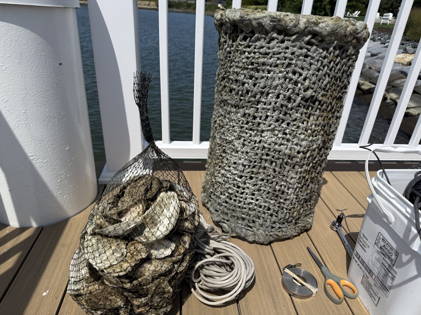 Bag of oysters