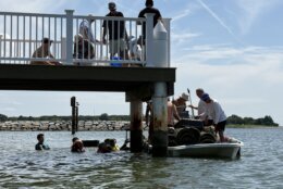 Guys helping to bring oysters to shore