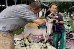 Goat and Sheep Pavilion