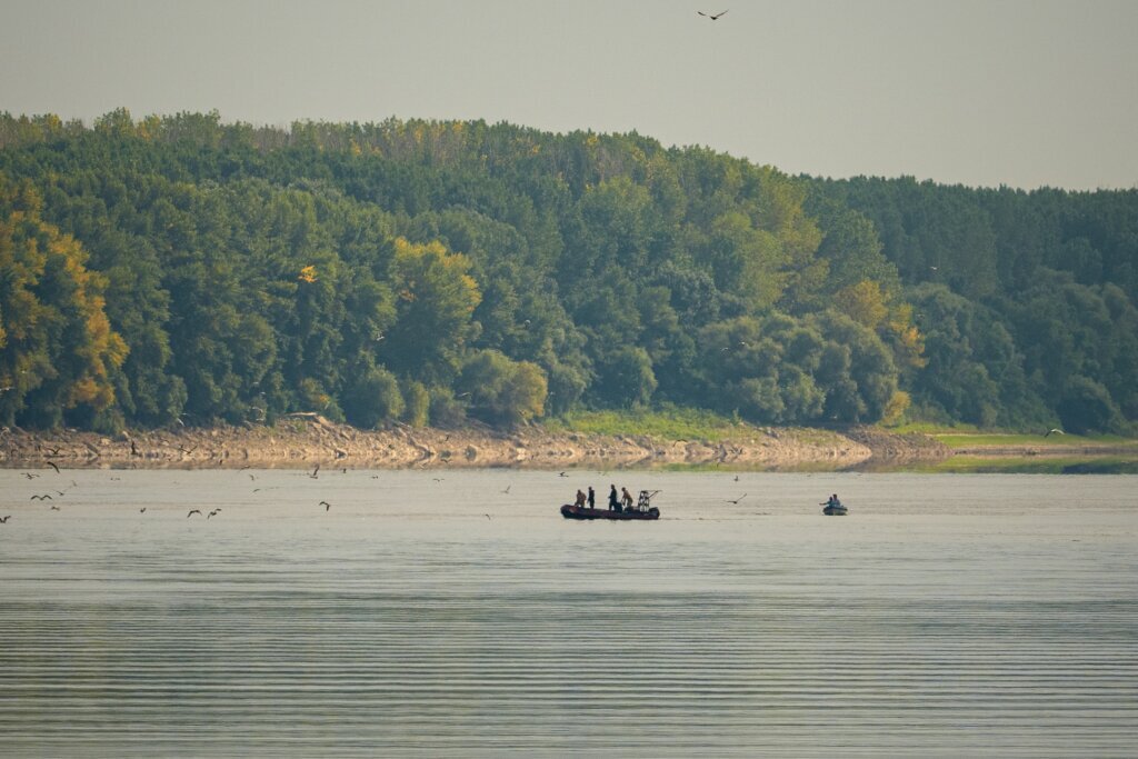 Record low Danube levels push some countries in Eastern Europe to the brink of energy emergency