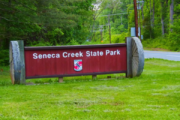 10-year-old girl attacked by beaver at Montgomery County park, leading to closure of park