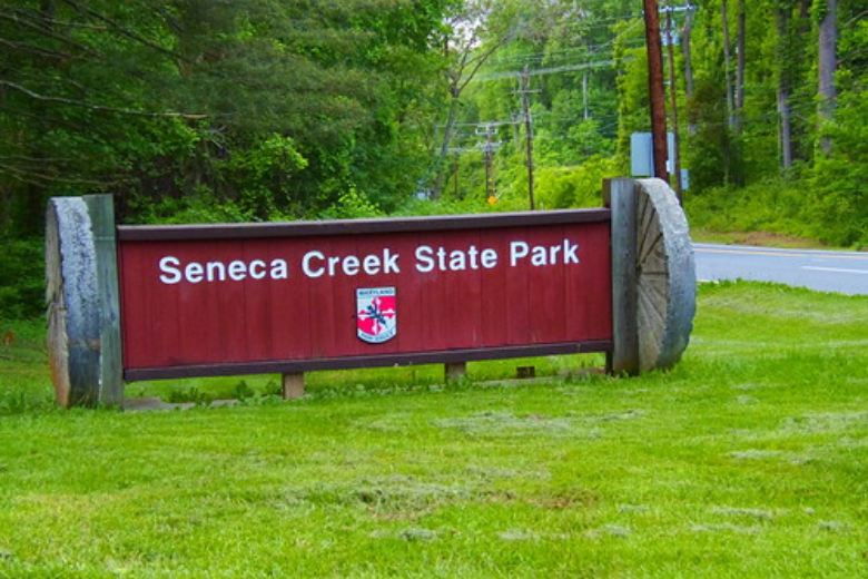 10-year-old girl attacked by beaver at Montgomery County park, leading to closure of park