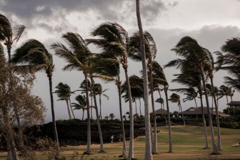 Lala strengthens into a hurricane and bears down on Hawaii’s Big Island with heavy rain, winds