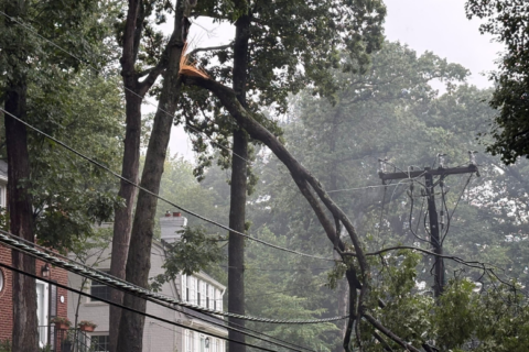 Severe storms, flash flooding possible in DC area as wet pattern settles in