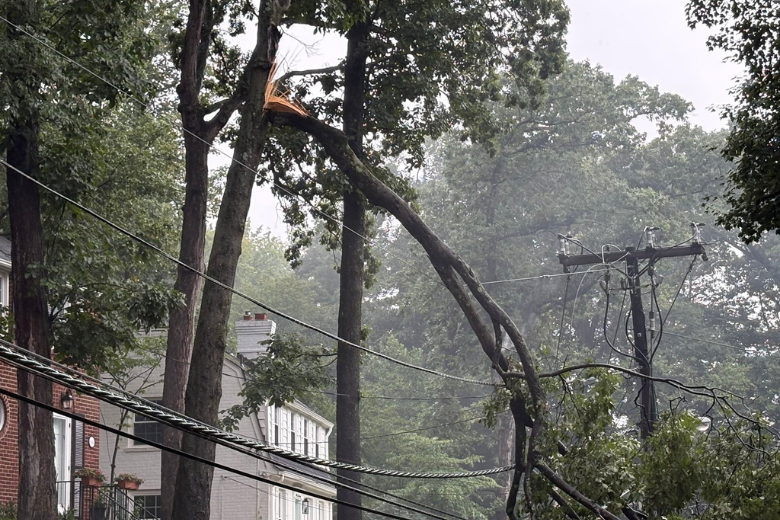 Downed trees in Bethesda