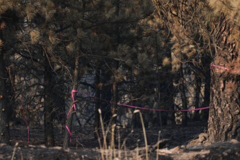 Man charged with arson in Spokane, Washington, told police he planned wildfire for weeks