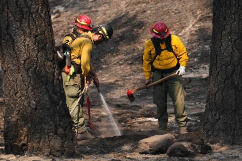 Officials warn wildland firefighters about the risks of using a supplement for smoke exposure