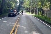 Woman found fatally stabbed near Great Falls