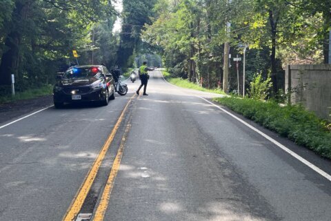 Woman found fatally stabbed near Great Falls