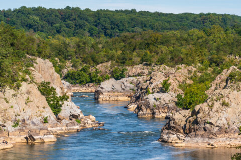 Recent rain in DC region ‘didn’t do much to dent the drought’ of drinking water supply, expert says